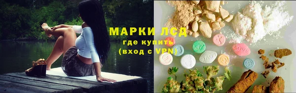 шишки Баксан