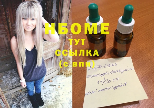 шишки Баксан